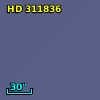 HD 311836