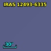 IRAS 12493-6335