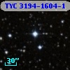 TYC 3194-1604-1