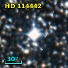 HD 114442