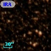 IRAS 13025-6455