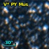 IRAS 13098-6601