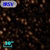 IRSV 1257-6421