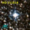 HD 111614