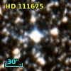 HD 111675