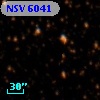 NSV  6041
