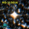 HD 115016