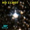 HD 113607