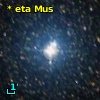 V* eta Mus