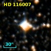 HD 116007