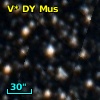 V* DY Mus