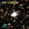 HD 116828