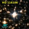 HD 116106