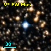 V* FW Mus