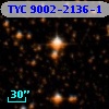 TYC 9002-2136-1