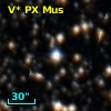 V* PX Mus