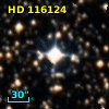 HD 116124