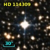 HD 114309