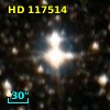 HD 117514