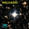 HD 116202