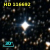 HD 116692