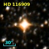 HD 116909