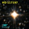 HD 117197
