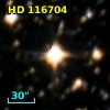 HD 116704