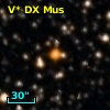 V* DX Mus