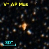 V* AP Mus