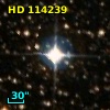 HD 114239