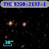 TYC 9250-2137-1