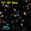 V* QT Mus