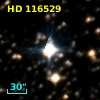 HD 116529