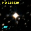 HD 116829