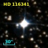 HD 116341
