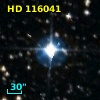HD 116041
