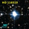 HD 116510