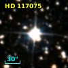 HD 117075