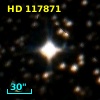 HD 117871