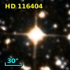 HD 116404