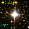 HD 117565