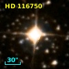 HD 116750