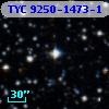 TYC 9250-1473-1