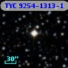 TYC 9254-1313-1