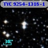 TYC 9254-1318-1