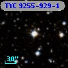 TYC 9255-929-1
