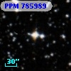 PPM 785989
