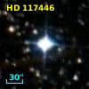 HD 117446