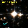 HD 117631